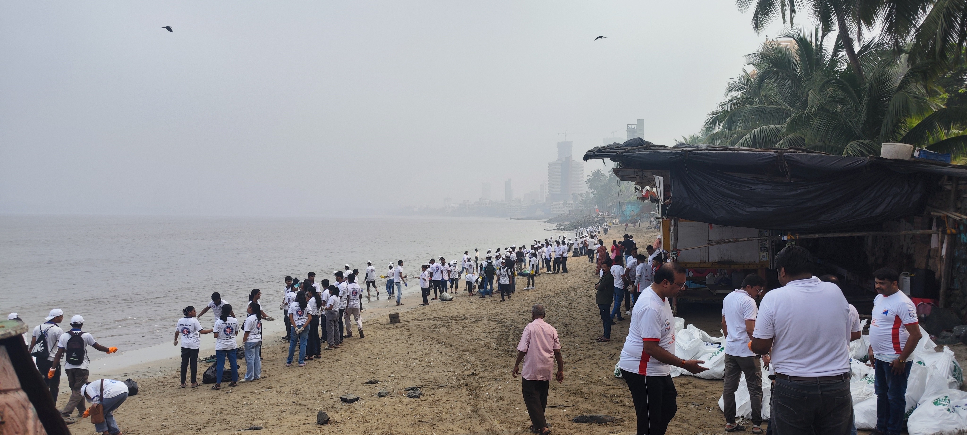 Cleanliness drive by NSS Student at the Dadar Beach, Mumbai