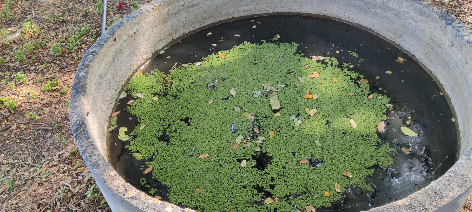 Campaign on cleaning of sewerage & water lines, a Swachhta Awareness Programme was organised at Sirsa, Haryana