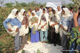 6 मार्च 2014 को स्वच्छ कपास चुनाई पर 2014 टीएसपी छवि-4